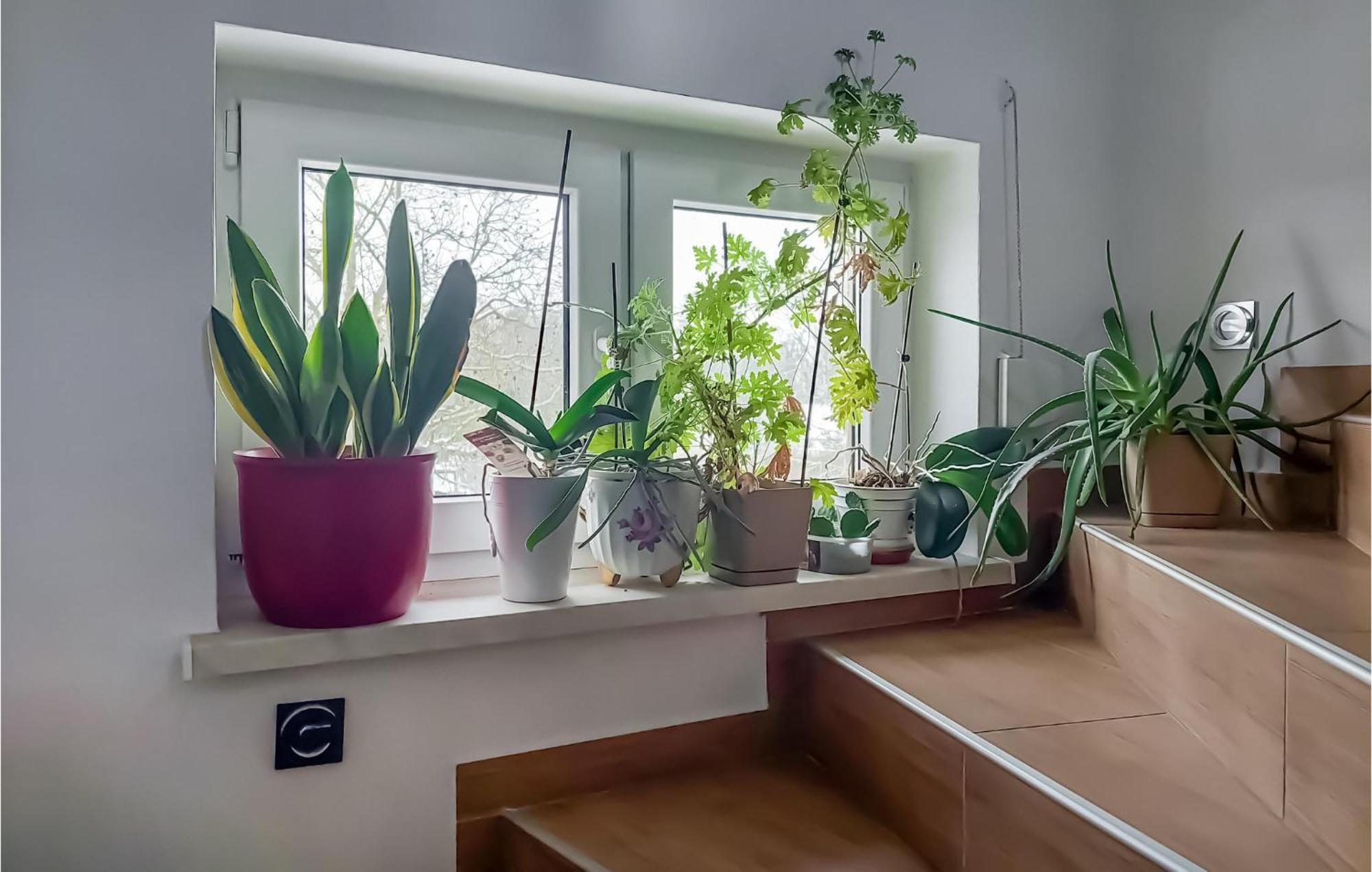 Beautiful Apartment In Moryn With Kitchen エクステリア 写真